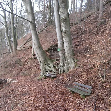 In Der Vulkaneifel